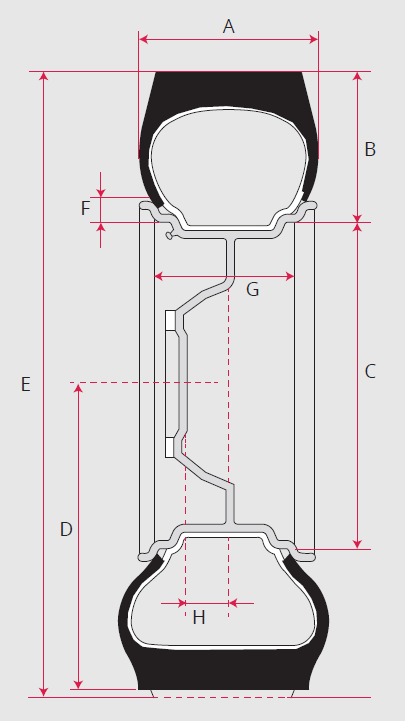 doorsnede_van_een_band_NL_1